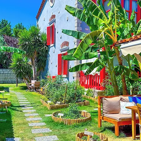 Banana Alacati Food & - Adults Only