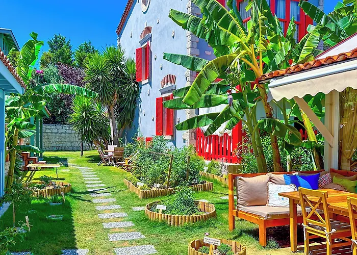 Banana Alacati Food & - Adults Only